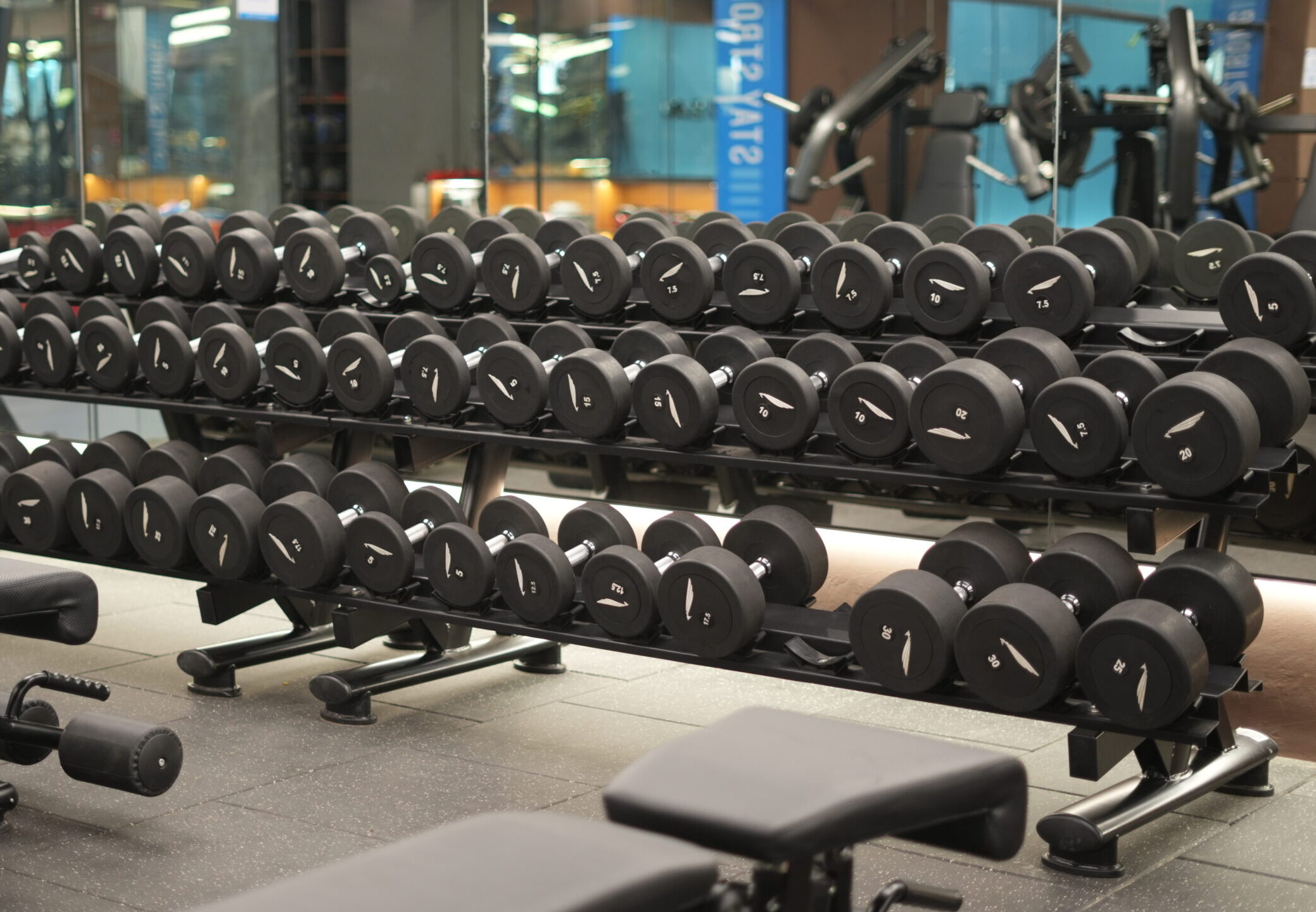 Fitclass Gym